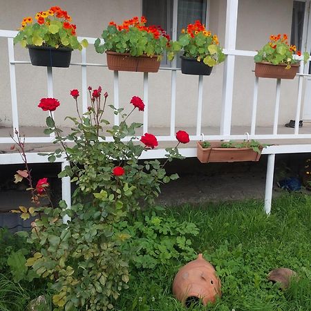 Lela Rezo Guesthouse Kazbegi Eksteriør billede