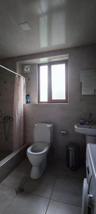 Lela Rezo Guesthouse Kazbegi Eksteriør billede