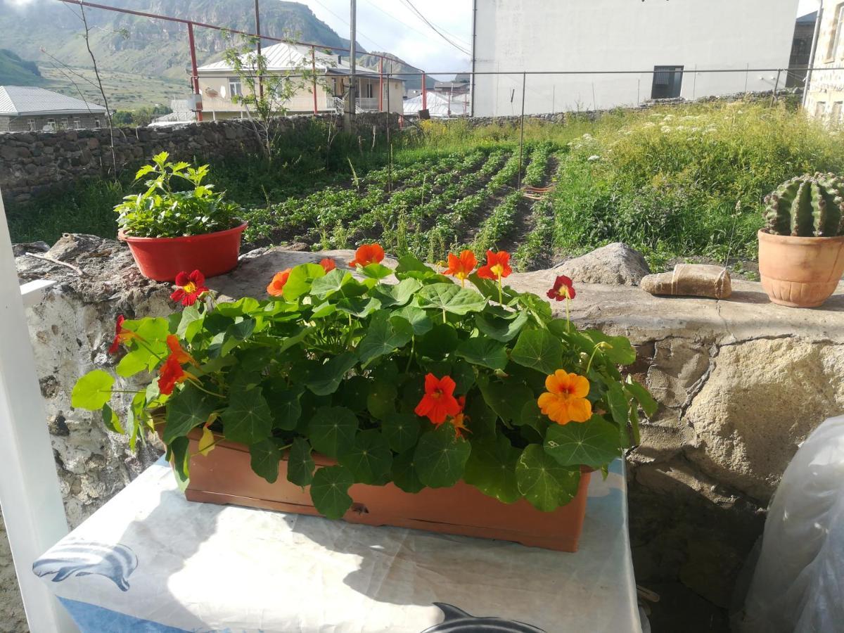 Lela Rezo Guesthouse Kazbegi Eksteriør billede