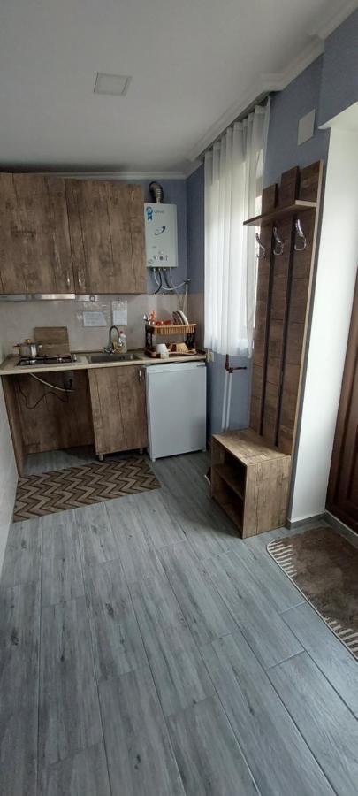 Lela Rezo Guesthouse Kazbegi Eksteriør billede