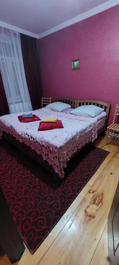 Lela Rezo Guesthouse Kazbegi Eksteriør billede